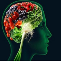 cervello vegetale1 e1725900565761