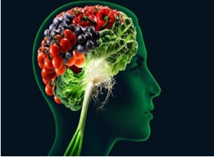 Cibo, mente e cervello 1 cervello vegetale1 e1725900565761