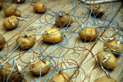 batterie-con-le-patate-che-creano-energia-elettrica-