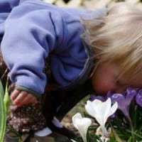 Smell the Flowers 400x2661