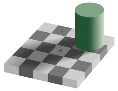 Il potere dell'immaginazione 4 1280px-Grey_square_optical_illusion.svg