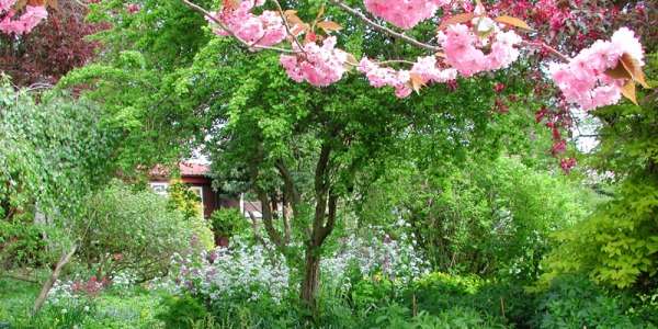 Findhorn, una serra di anime 1 garden1