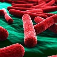 antibiotico.resistenza.2050