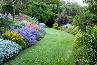 the-garden-vineyard