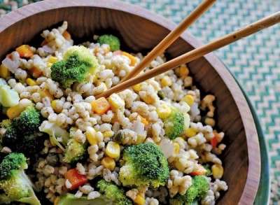 The-Macrobiotic-Diet