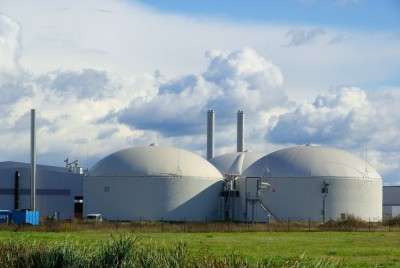 L'Energia si rinnova 9 biomassa