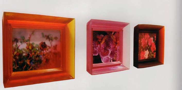 Chiara Dynys: i colori luminosi dell'illusione 1 001 Chiara DYNYS Poisoned Flowers copertina1