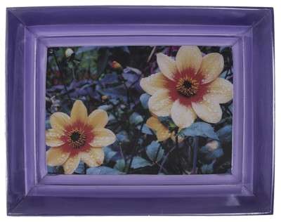 Chiara Dynys: i colori luminosi dell'illusione 6 004-Chiara DYNYS-Poisoned Flowers (2014)