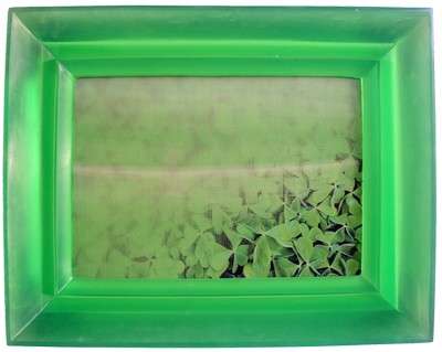 Chiara Dynys: i colori luminosi dell'illusione 5 005-Chiara-DYNYS-Poisoned-Flowers (2014)