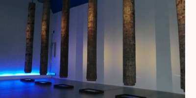 I colori dell'acqua e del fuoco 4 Plessi "Foresta blu".