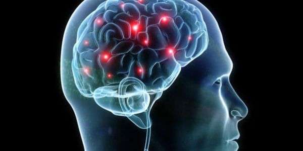 La Medicina dell'invisibile 1 Synapse in brain