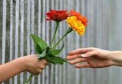 donare-un-fiore