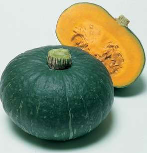 zucca mantovana