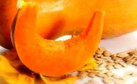 zucca.pezzo