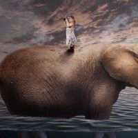 elefante