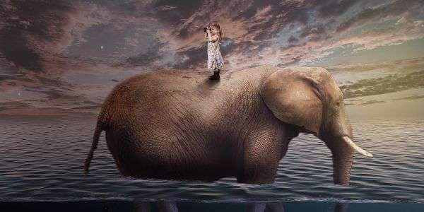 I doni del sogno 1 elefante