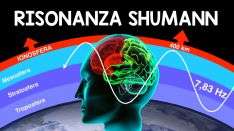 Risonanza.shumann