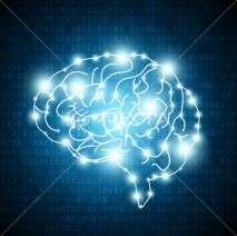 brain