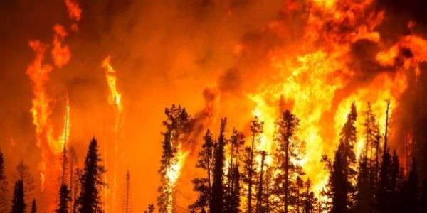 L'Amazzonia in fiamme non si spegne 1