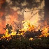 Incendio.600x300