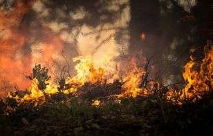 incendio