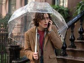 un.giorno.di .pioggia.a.new .york .timothe.e.chalamet.9