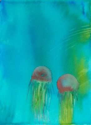 MCF 004 Meduse