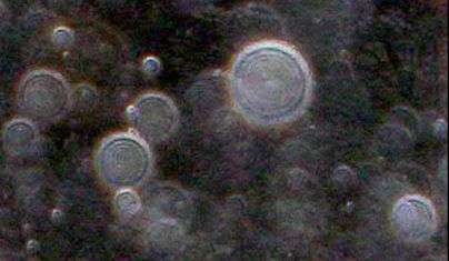 orbs