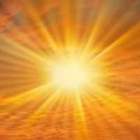 Sole