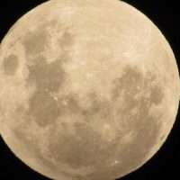 Luna.600