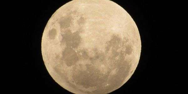 Eclissi di luna... fragola 6 Luna.600