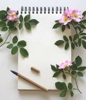 notebook.Foto di Monfocus da