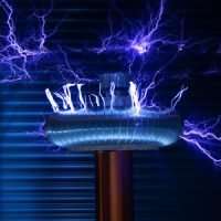 pexels photo 26355951