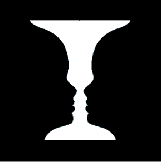 Figura ambigua 1