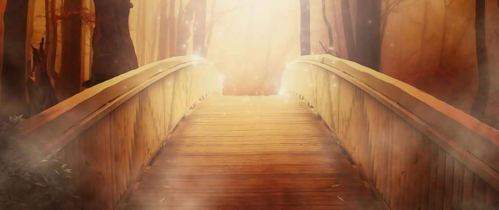 Convegno online "Medianità: un ponte verso l'infinito" 2 Ponte spirituale
