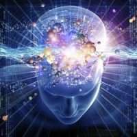 corso online sulla sensitività