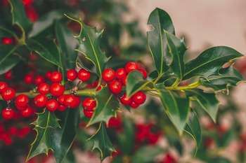Il Natale, una festa che colora l’anima 4 Il Natale, una festa che colora l’anima