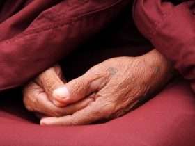 Le pratiche della meditazione 12 monk Foto di terimakasih0