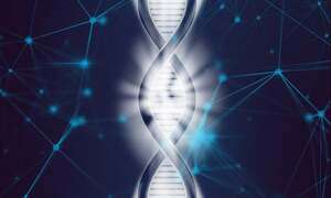 Il risveglio degli Starseeds