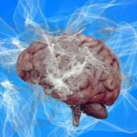 neurons 7420662 1280