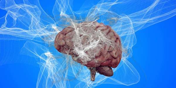 La ricerca sull'Alzheimer 1 neurons 7420662 1280