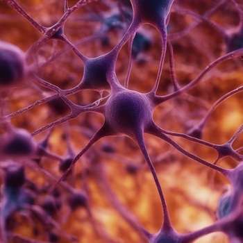 cellule neuronali