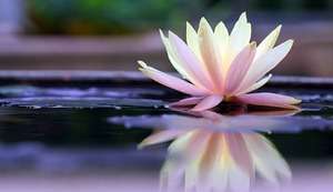 Un Cd per la Mindfulness