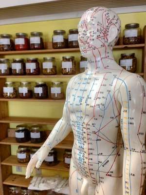 Il tocco del corpo e dell'anima 5 acupuncture bekaschiller
