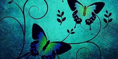 cocoparisienne da Pixabay