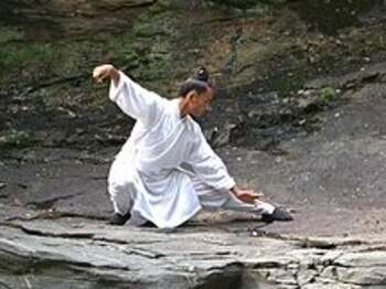 440px Wudang taiji1