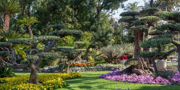 Euroflora, un inno alla Natura 1 2018 01