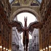 milan 705880 12801