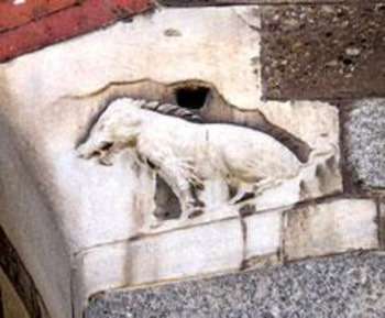 Milano misteriosa: simboli e cattedrali 5 scrofa medio lanuta jpg
