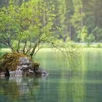 waters 3095682 1280